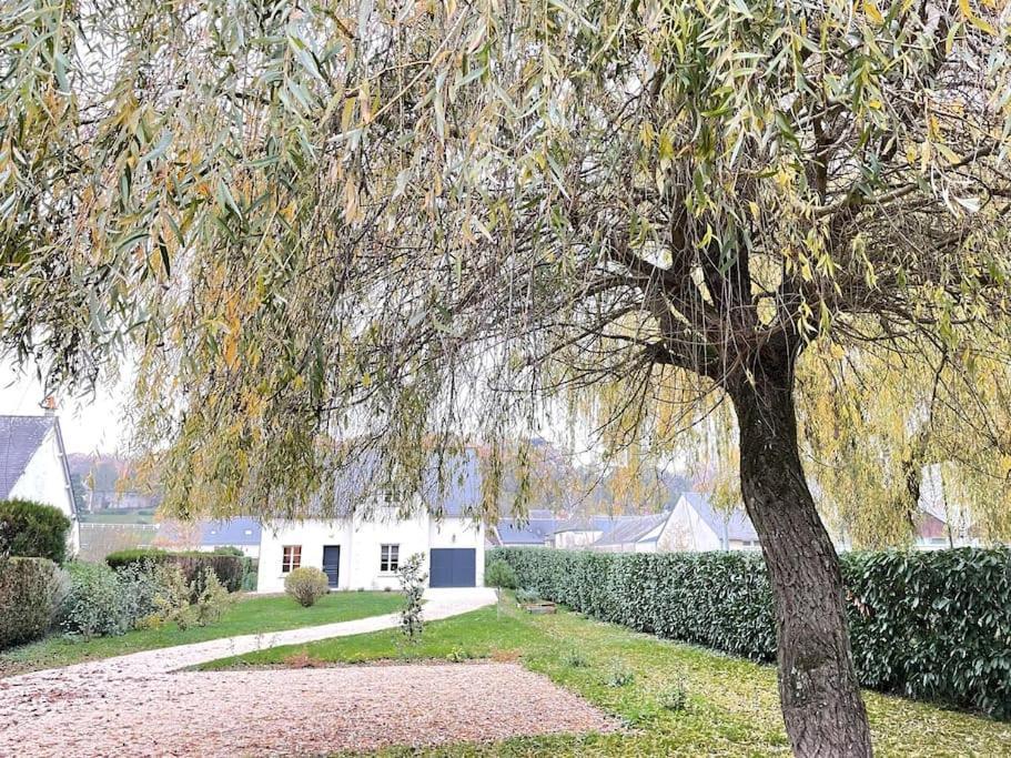 Havre De Paix Spa Proche Amboise & Chateaux De La Loire Noizay Zewnętrze zdjęcie